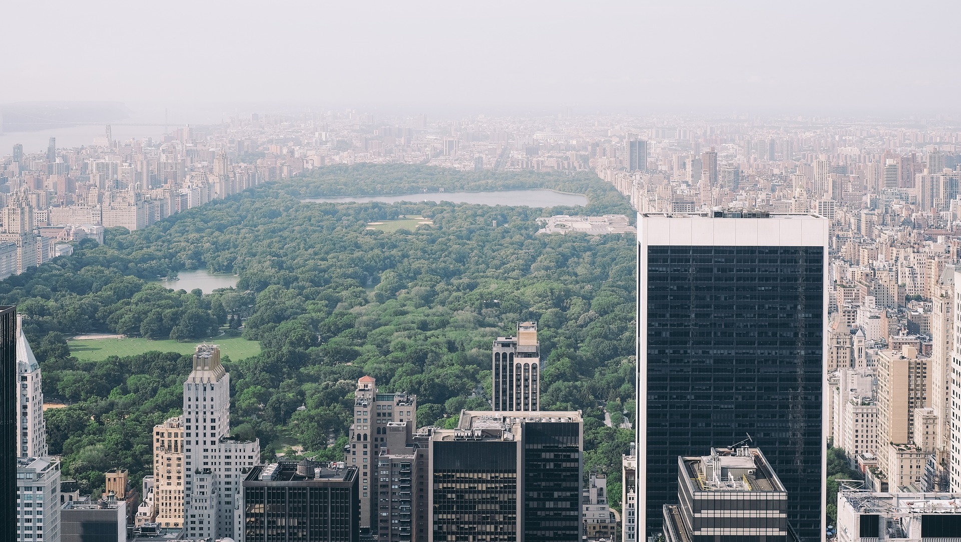 View Overlooking Manhattan Central Park