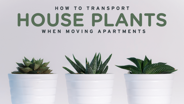 moving-house-plants