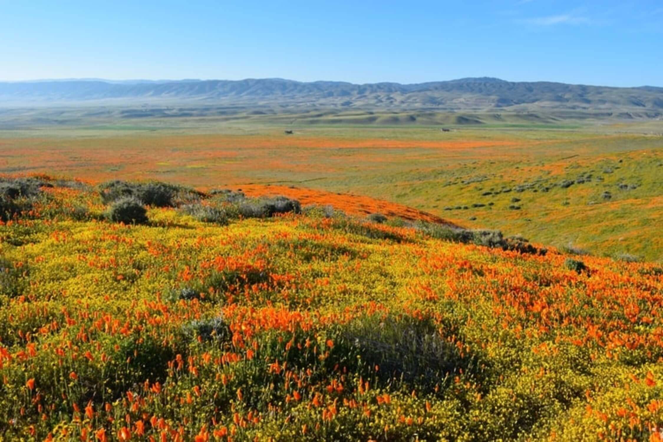 Moving To Lancaster Ca