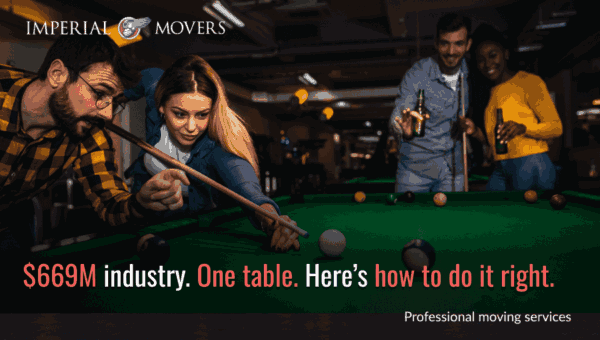 Custom image showing the value of the pool industry in the US