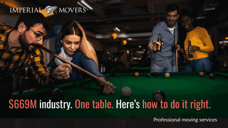 Custom image showing the value of the pool industry in the US